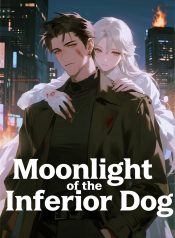 劣犬的月光