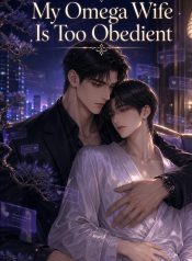 cover-3