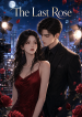 cover-21
