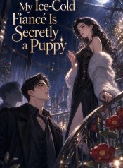 cover-11