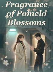 cover-image-4