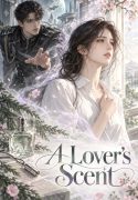 cover-17